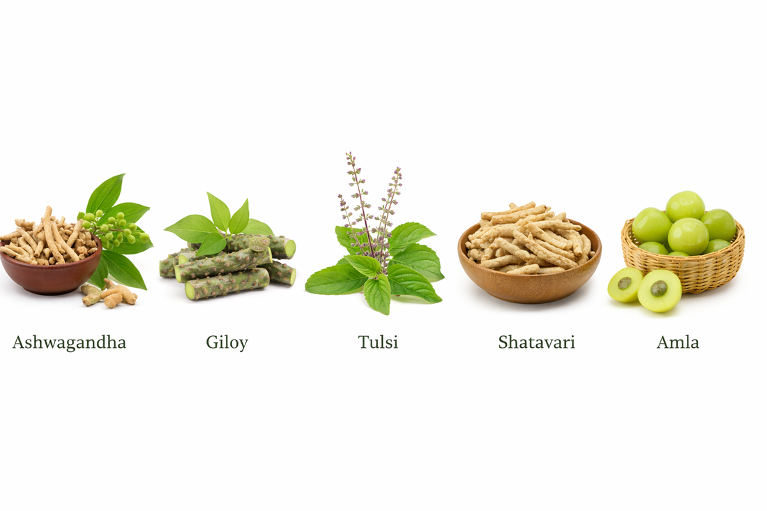 5 Ayurvedic Herbs That Every Indian Home Needs