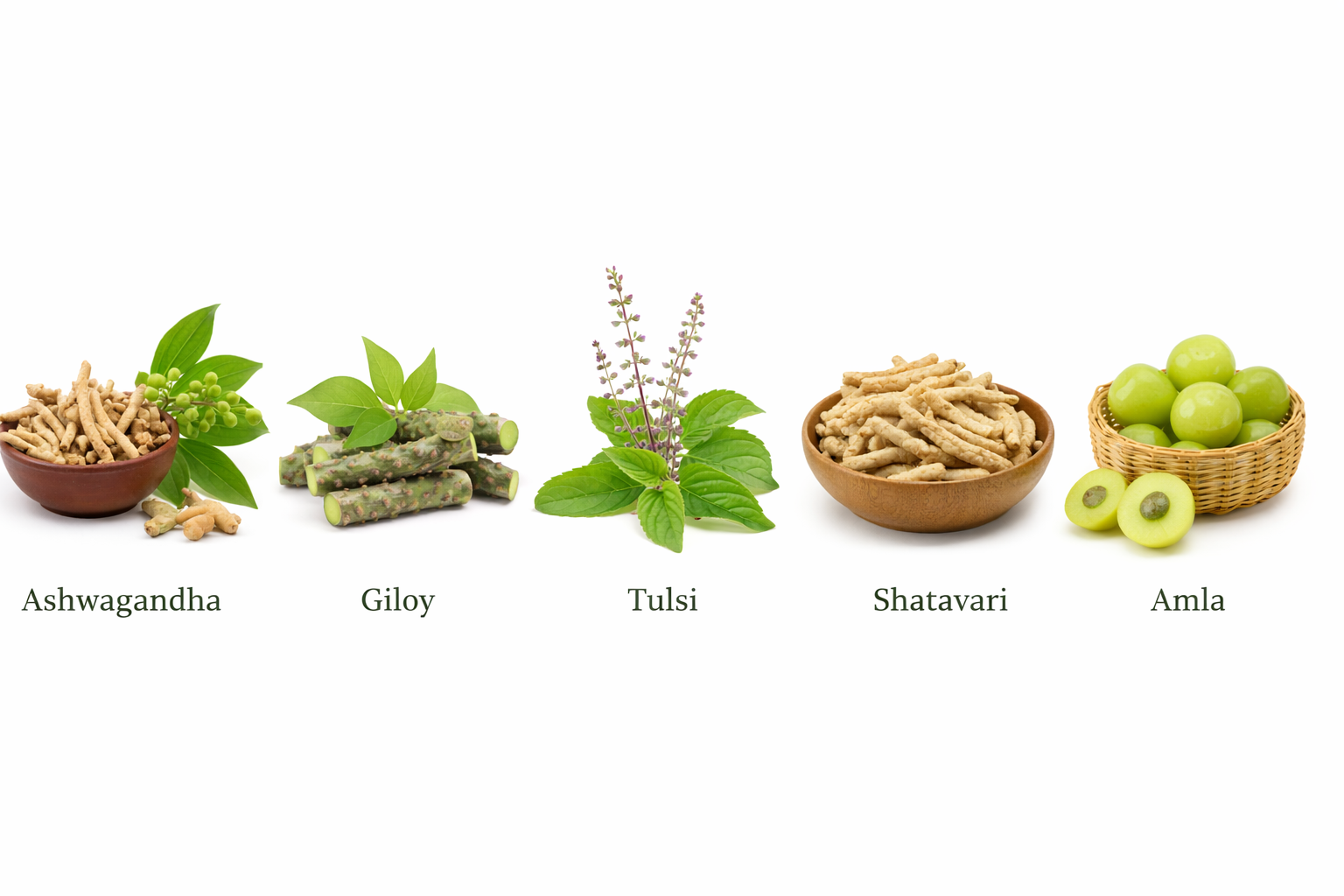5 Ayurvedic Herbs That Every Indian Home Needs